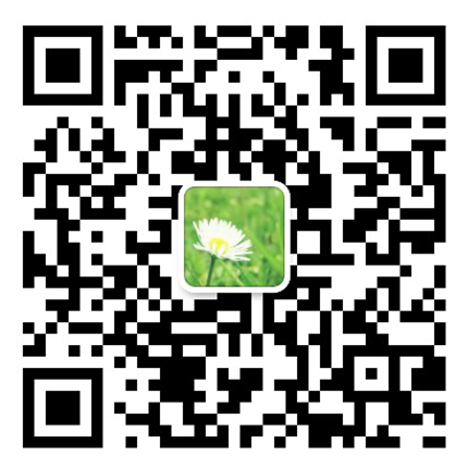 添加微信咨詢(xún)